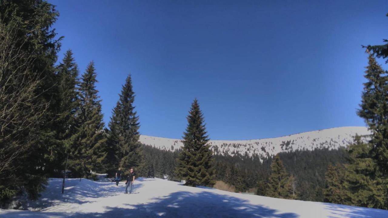 Chata Salicka Bozkov Bozkovska Bagian luar foto