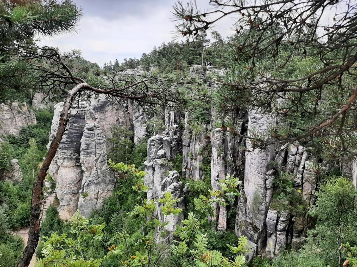 Chata Salicka Bozkov Bozkovska Bagian luar foto